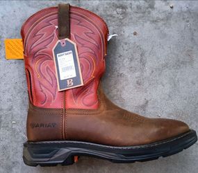 Brand new Ariat Workhog Size 11 mens. Retail is $229. Only $100.
