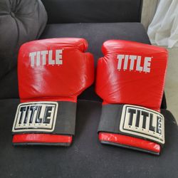 Title Boxing 18oz Training Gloves