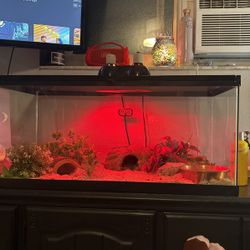 Snake Tank 