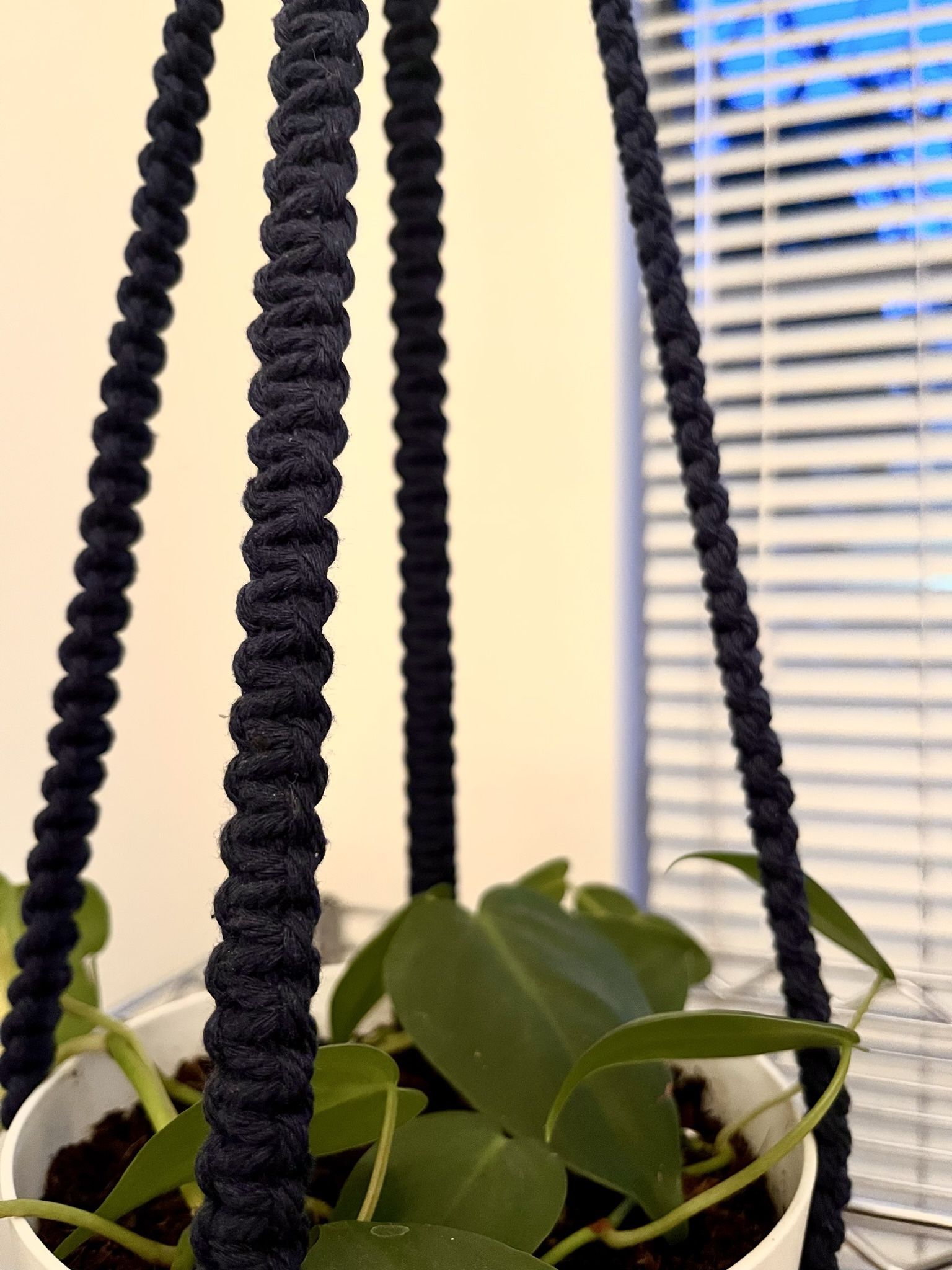 Macrame Plant Hanger