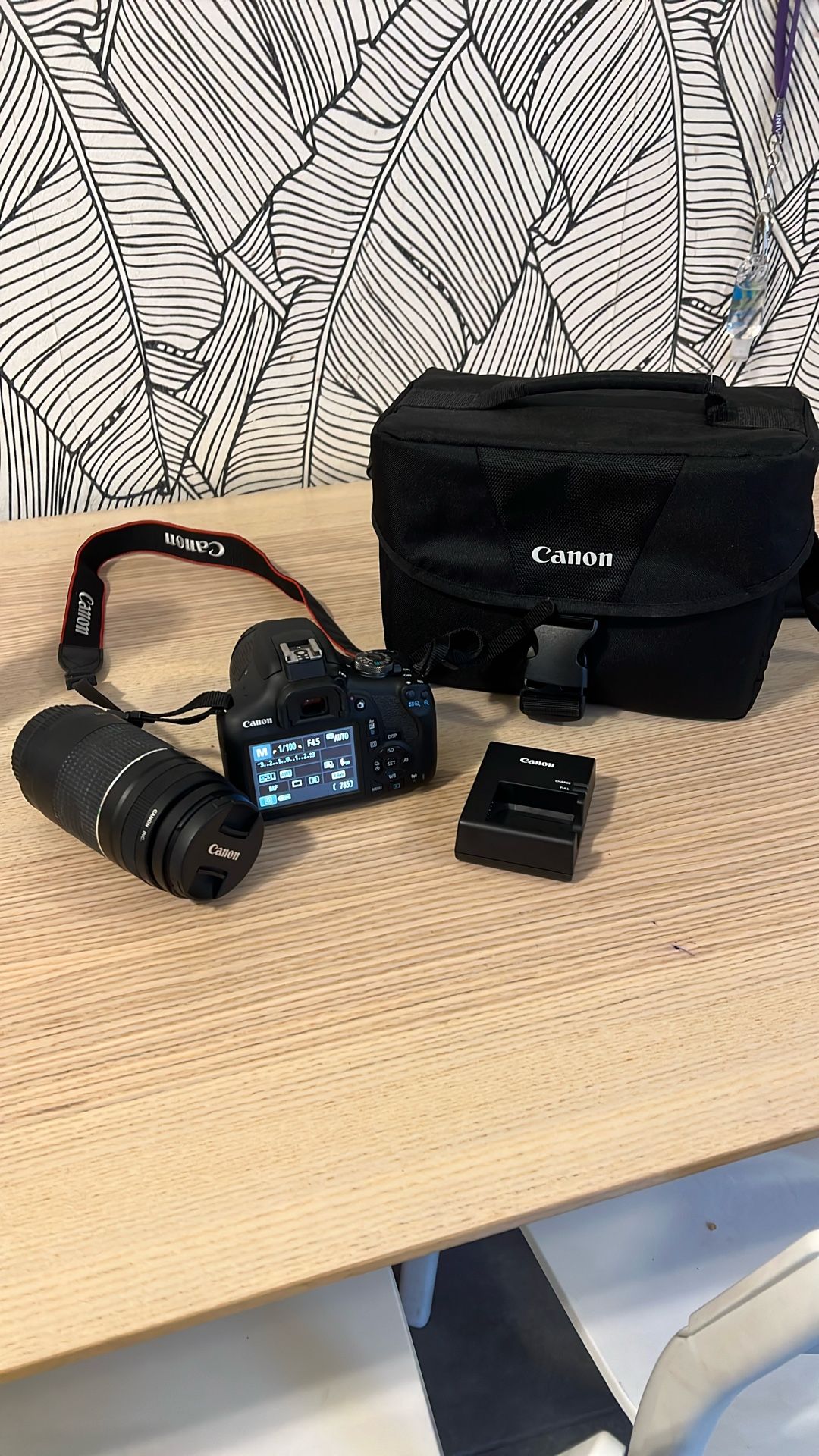 Canon Rebel T7 with 18-55mm, 75-300mm Canon Lenses