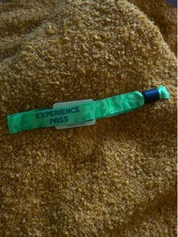 Day Trip 2026 GA Wristband