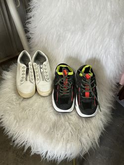 Steve Madden Shoe Sneakers