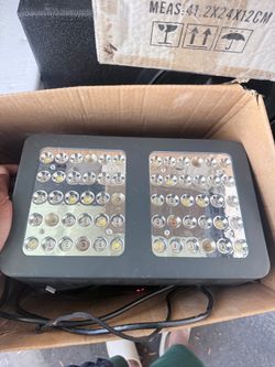 Grow lights and fans