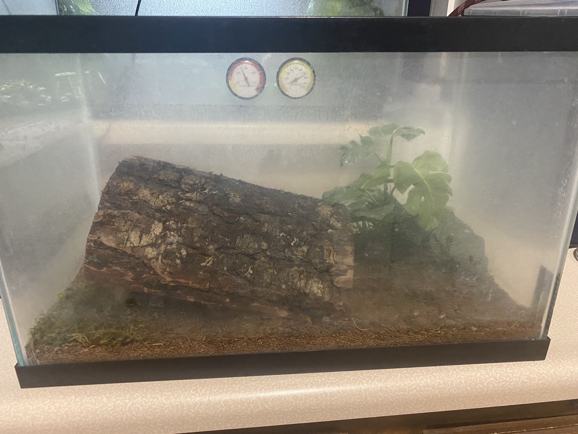 10 Gallon Reptile Tank