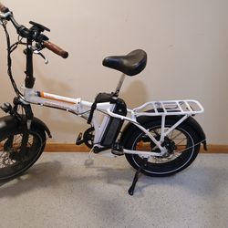 Radster Mini Electric Bike 