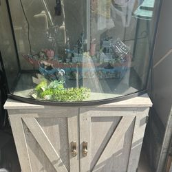 35 Gallon Fish Tank