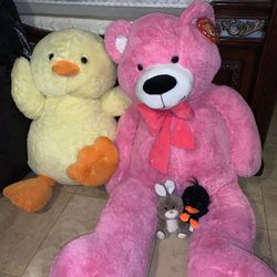 Stuffed Animals 🧸 