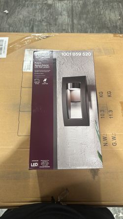 Home Decorators Frolynn Medium Exterior LED Wall Lantern