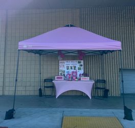 Pink Tent Canopy