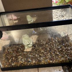 10 Gallon Aquarium And Accessories 