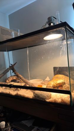 reptile tank