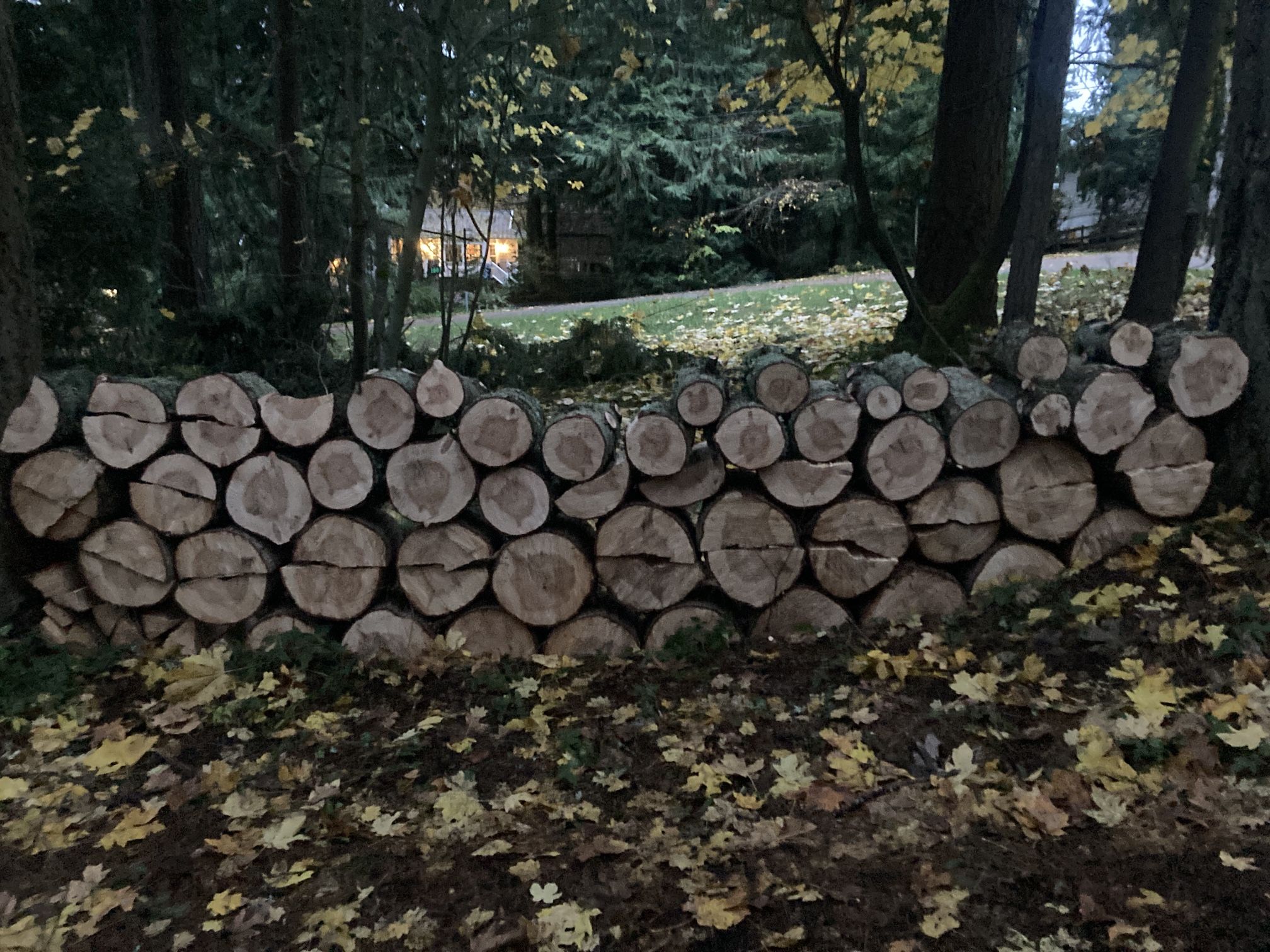 Hemlock Firewood for Sale in Maple Valley, WA OfferUp