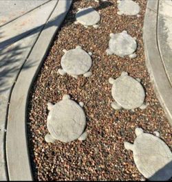 turtle stepping stones