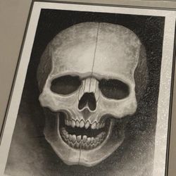 Filip Leu Signed Silkscreen Skull Print Framed Numbered 29/50