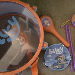 Bluey All In One Band Set