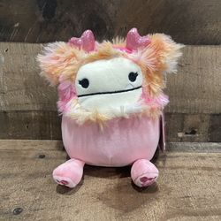 Valentines Squishmallows 