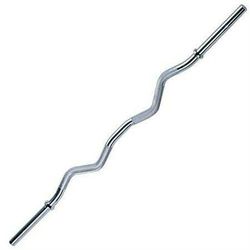 NEW STANDARD EZ CURL BAR 1" CURLING BARBELL