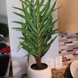 Faux Decor Plant