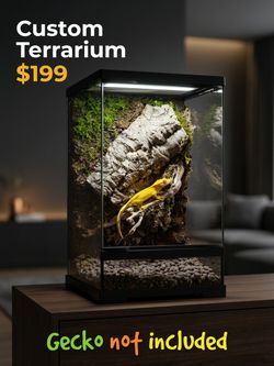 Custom Bioactive Terrarium – $199