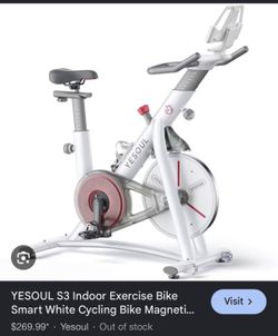 YESOUL S3 Indoor Bike