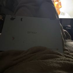 Chrome Book