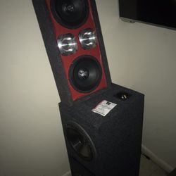 Chuchero 8inch Dp Pro Series…… 10inch Infinity Subwoofers….. READ DESCRIPTION!!