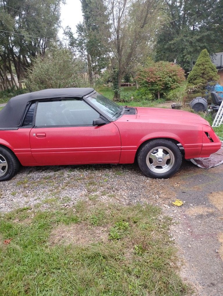 1984 Ford Mustang