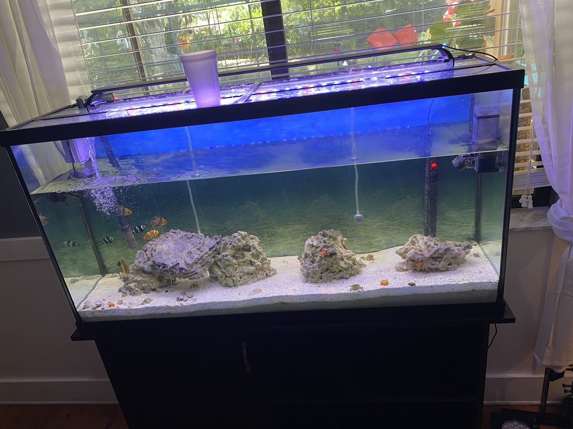 60 Gallon Tank With Stand, Lights And Filter $400/OBO