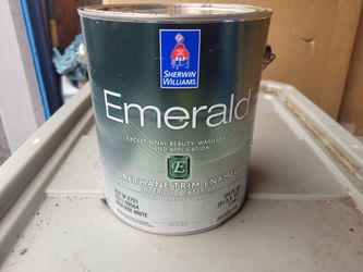 Gallon of Satin Paint