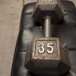 35 Pound Dumbbell