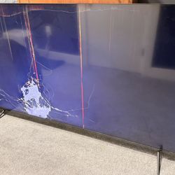 70” Insignia TV – Broken Screen, Works for Parts or Repair