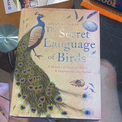 THE SECRET LANGUAGE OF BIRDS