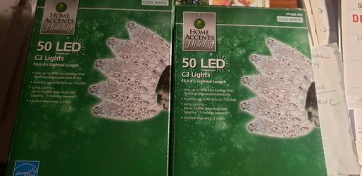 Home Accents Holiday 50 LED C3 lights-2 Boxes,new