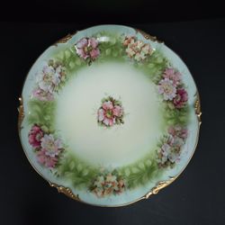 Beautiful Germany Porcelain Plate