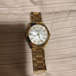 Kenneth Cole New York KC4863 watch, analog, stainless steel, gold tone