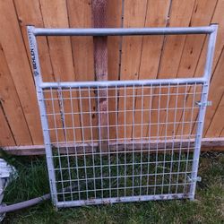 Gate/ Animal 