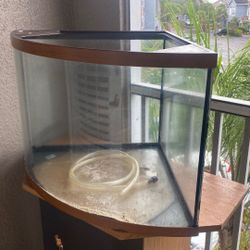 Fish Tank 