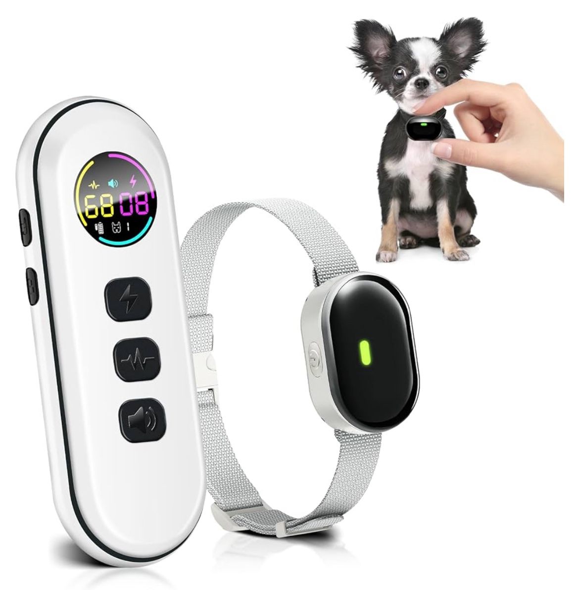 Small Dog Shock ⚡️ Collar For Training Dogs