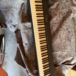 Casio Keyboard W/stand, Bench And Peddles