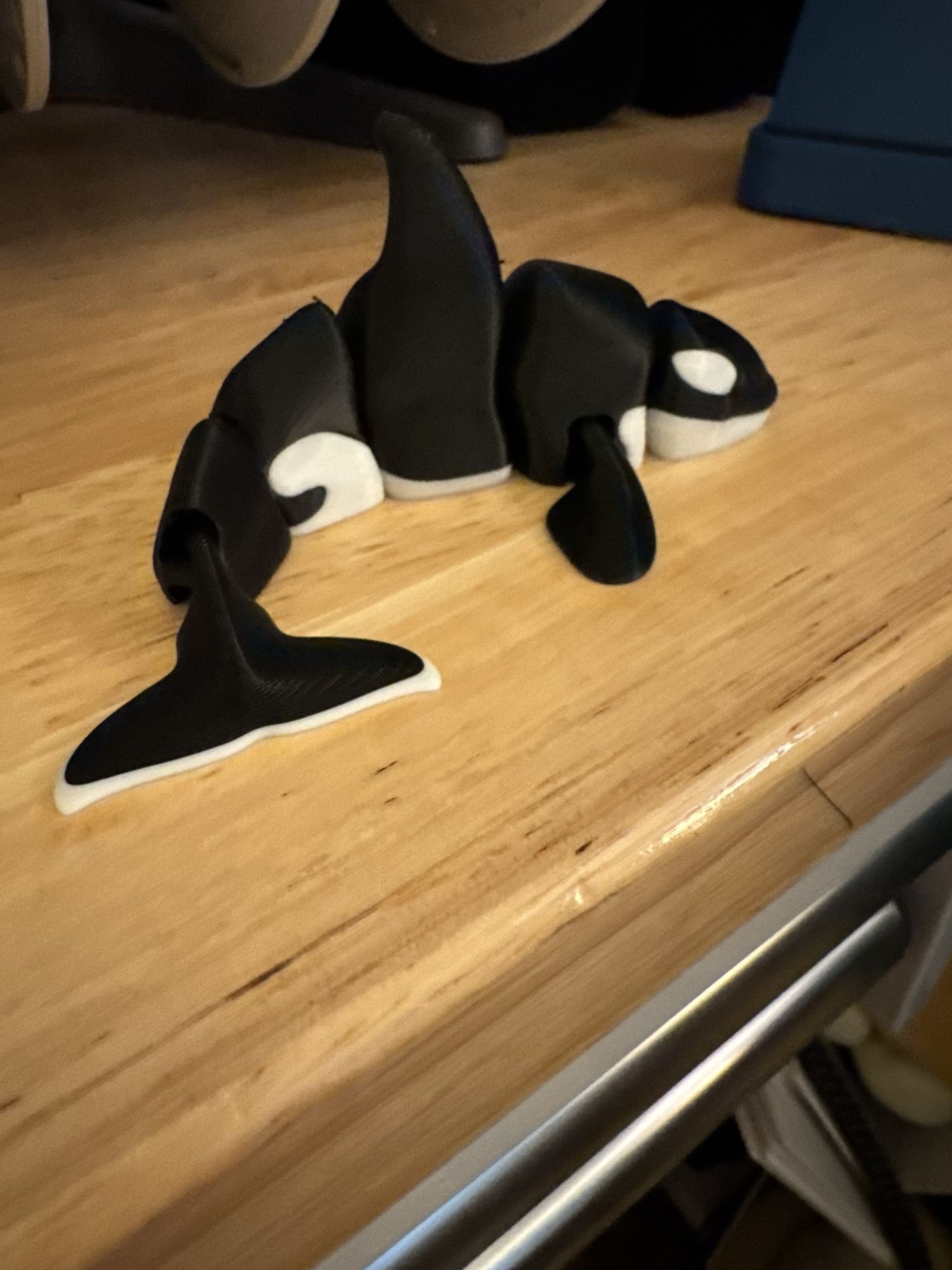 3D Orca