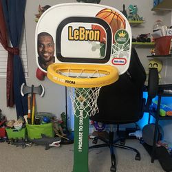Lebron James Basketball Hoop Rim