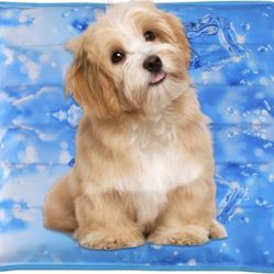 Cool Pet Pad