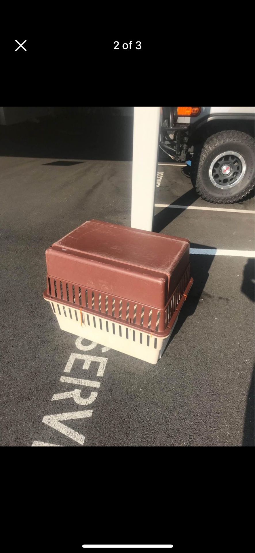 large dog case
