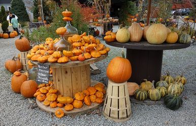 Wooden pumpkin table