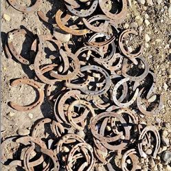 74 Used Horse Shoes for Crafts – $0.50 Each or $30 for All 