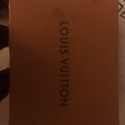 Louis Vuttion Bag 