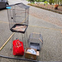 Budgie set up