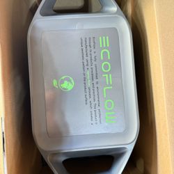 EcoFlow DELTA (1000) Portable Power Station