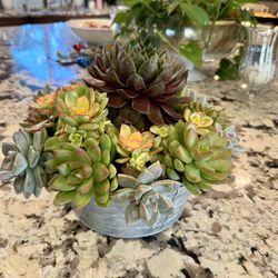 Succulent Bouquet 